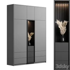 Cabinet with shelves 2